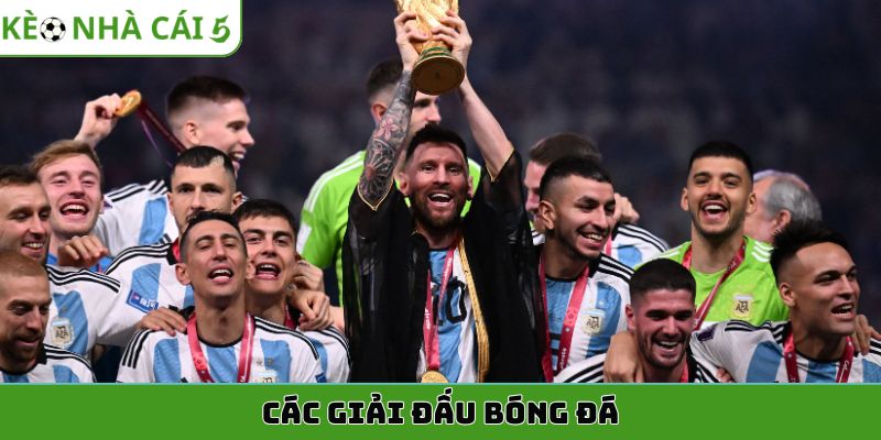 các giải đấu bóng đá