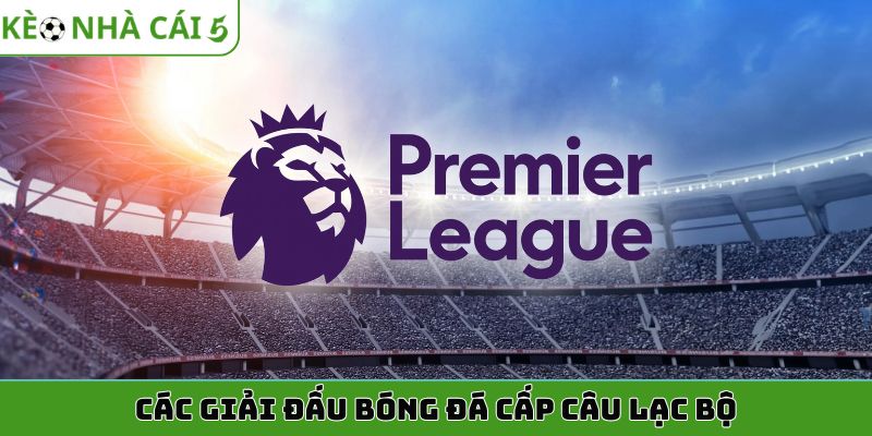 Các giải đấu bóng đá cấp câu lạc bộ