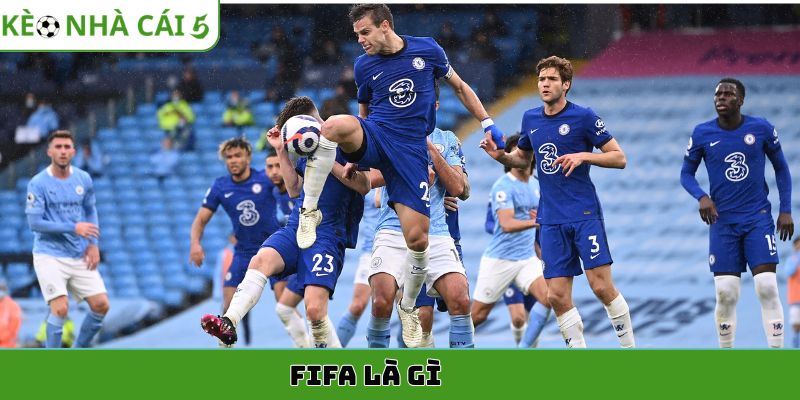 fifa là gì