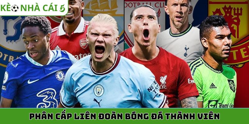 Phân cấp liên đoàn bóng đá thành viên